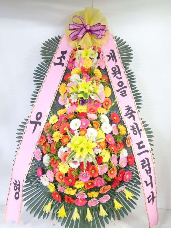 업로드 이미지