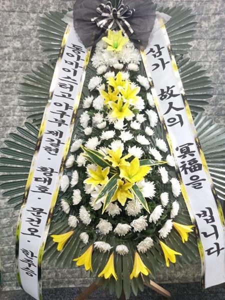 업로드 이미지