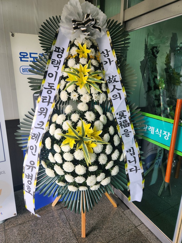 업로드 이미지