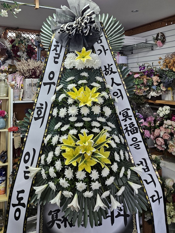 업로드 이미지