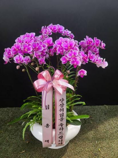업로드 이미지