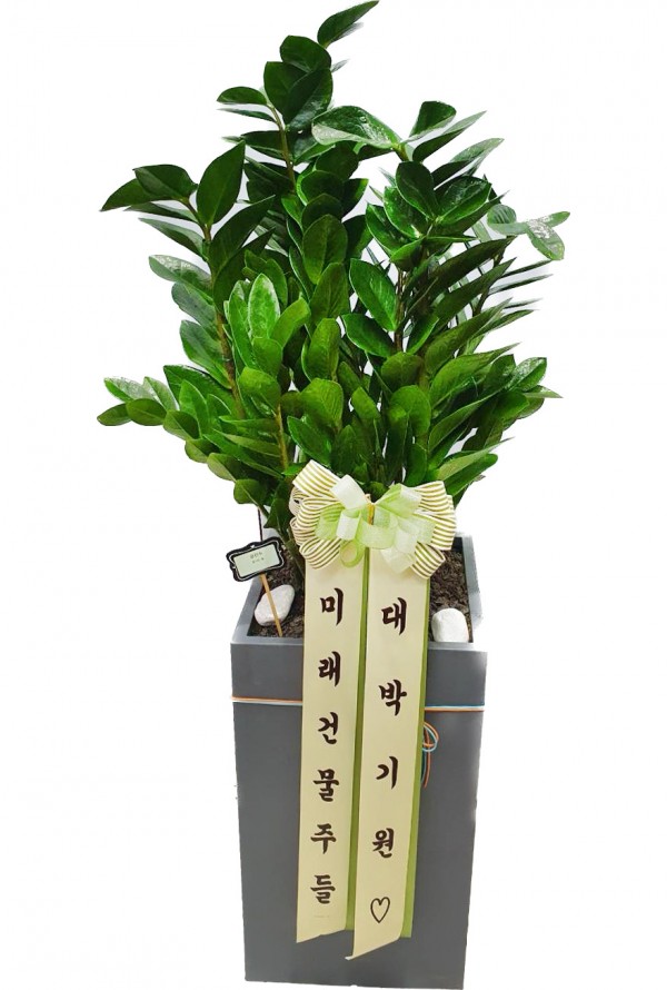 업로드 이미지