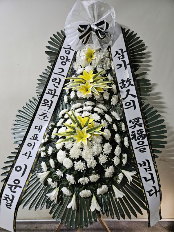 업로드 이미지