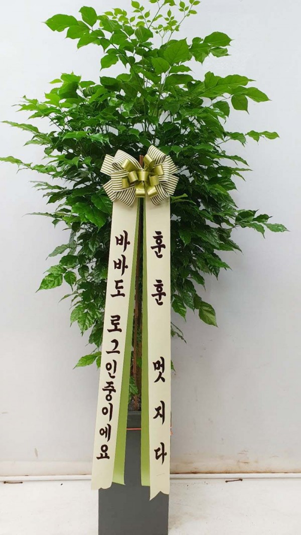 업로드 이미지