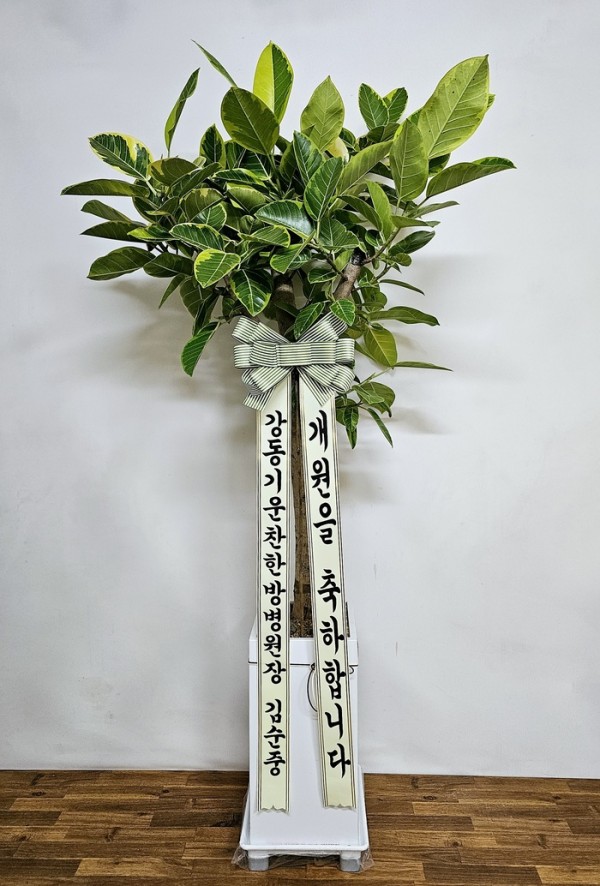 업로드 이미지