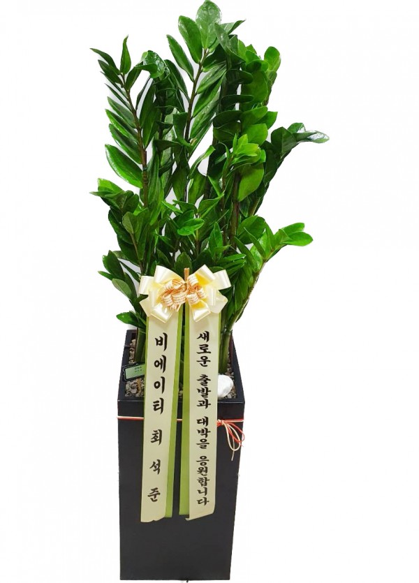 업로드 이미지