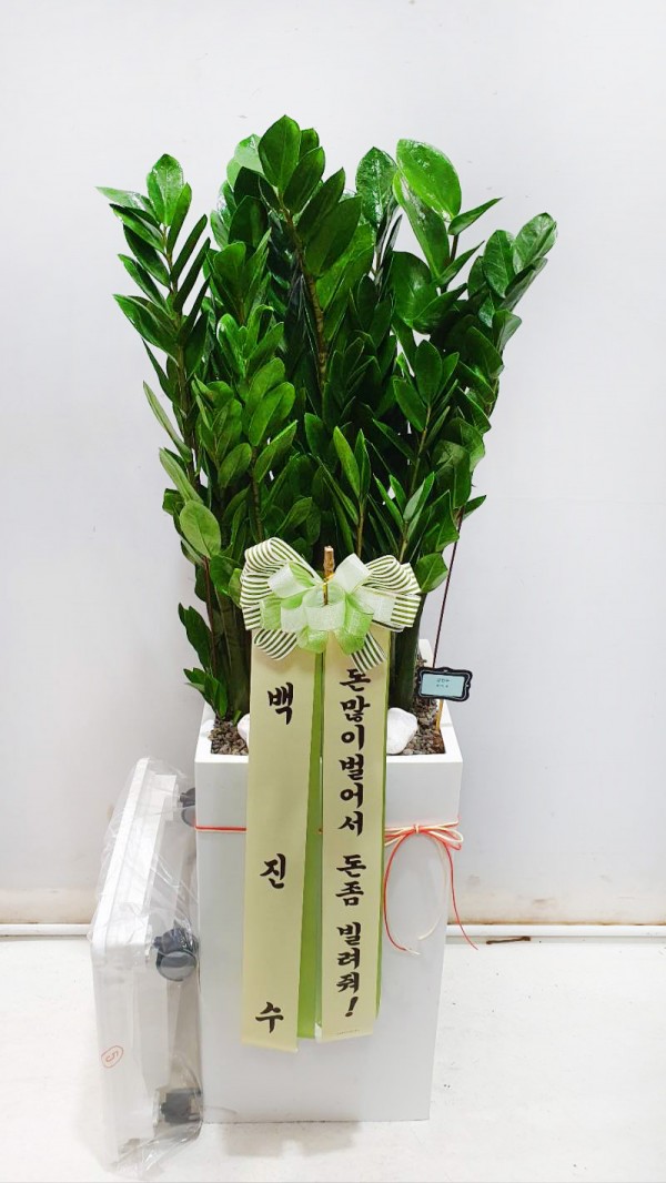 업로드 이미지