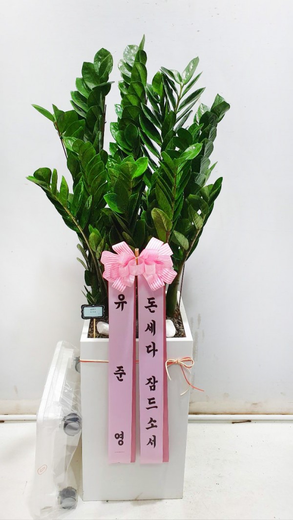 업로드 이미지