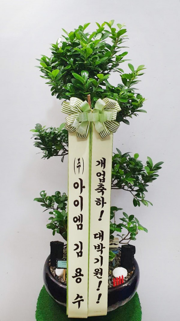 업로드 이미지