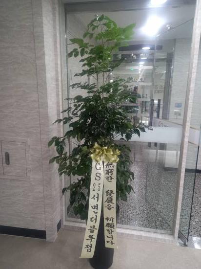 업로드 이미지