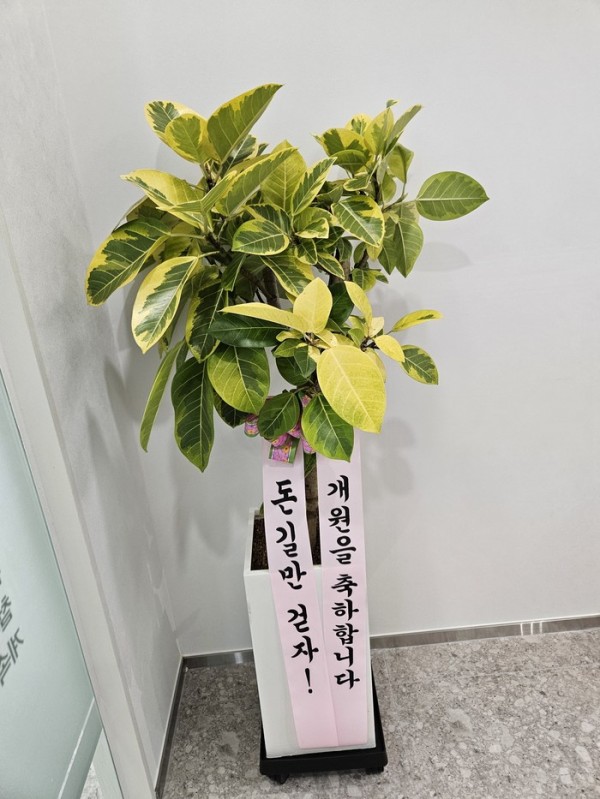 업로드 이미지