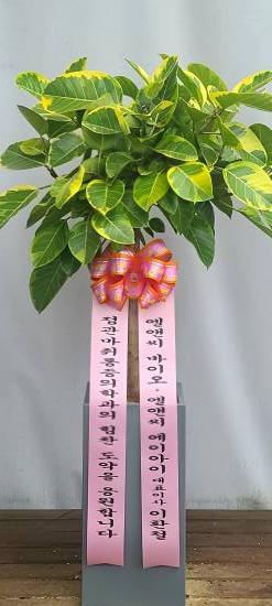 업로드 이미지