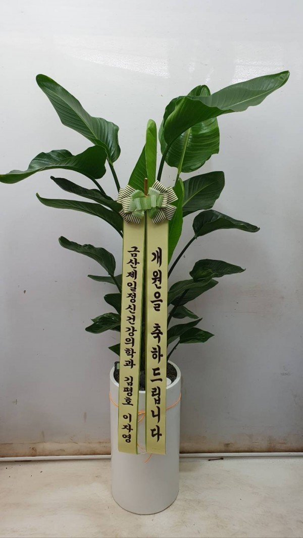 업로드 이미지