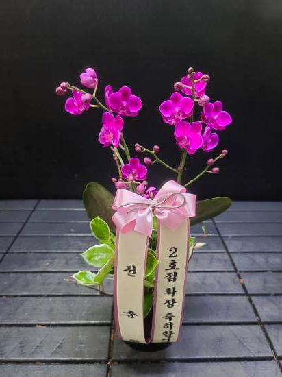 업로드 이미지