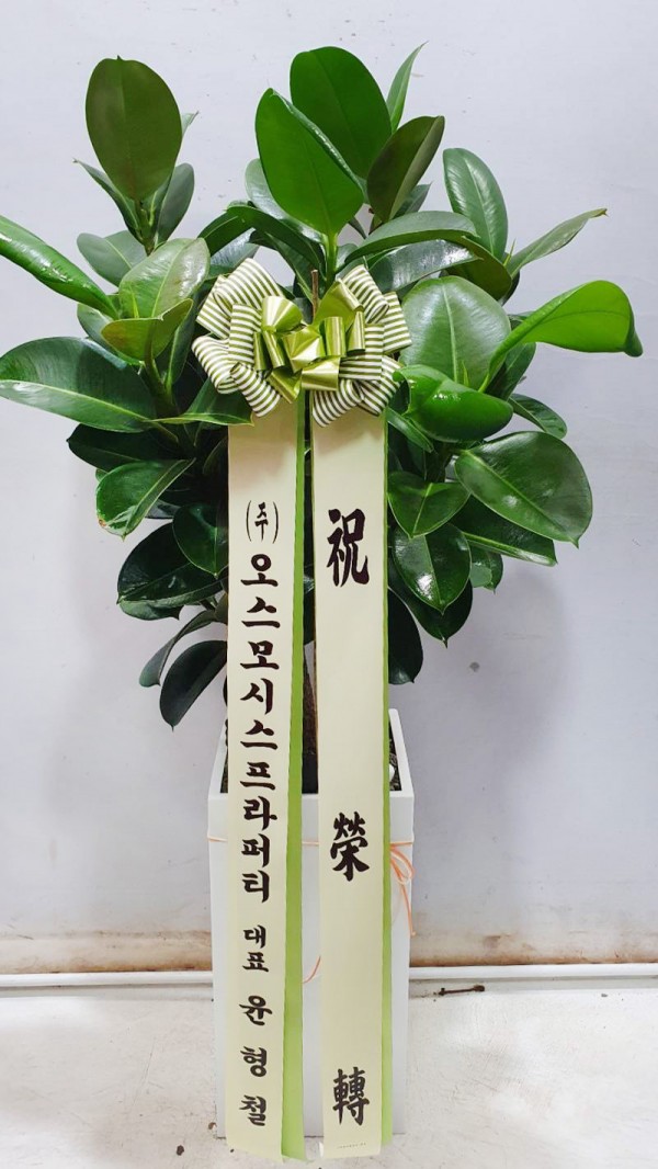 업로드 이미지