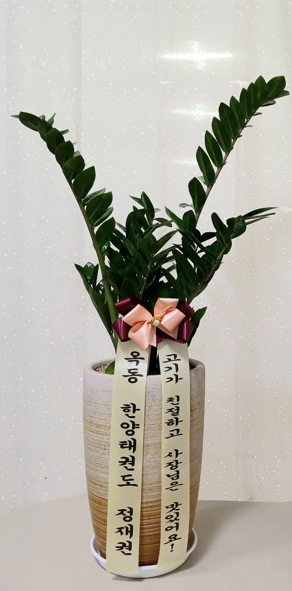 업로드 이미지