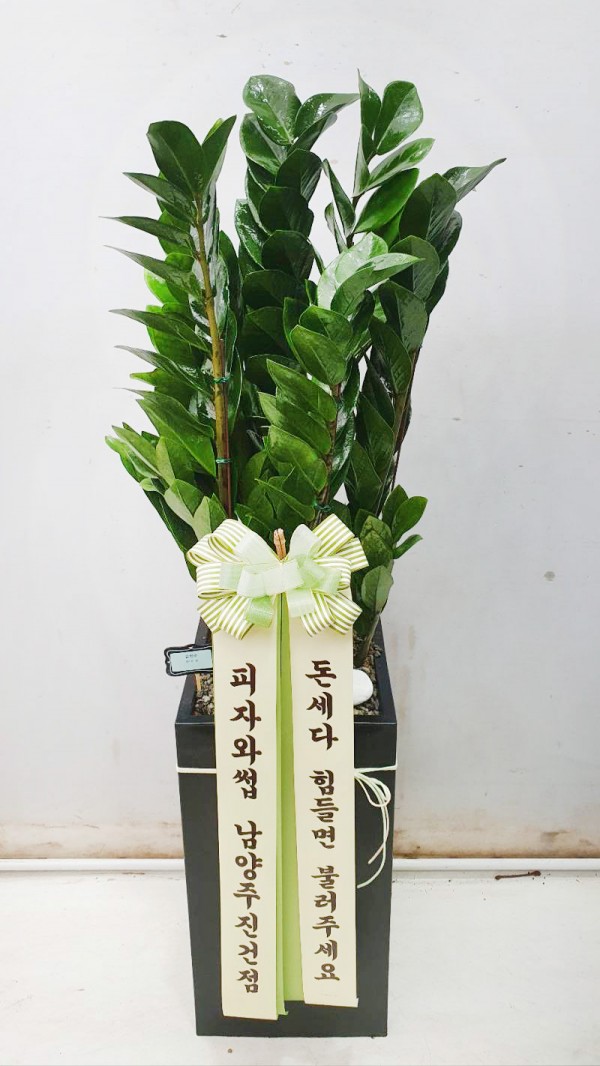 업로드 이미지