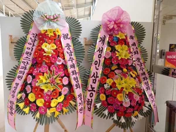 업로드 이미지