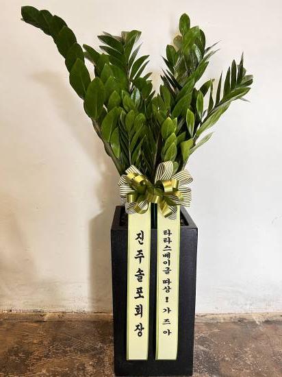 업로드 이미지