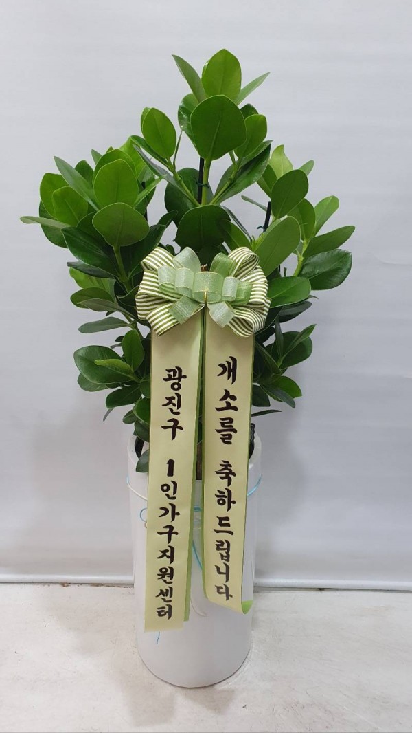 업로드 이미지