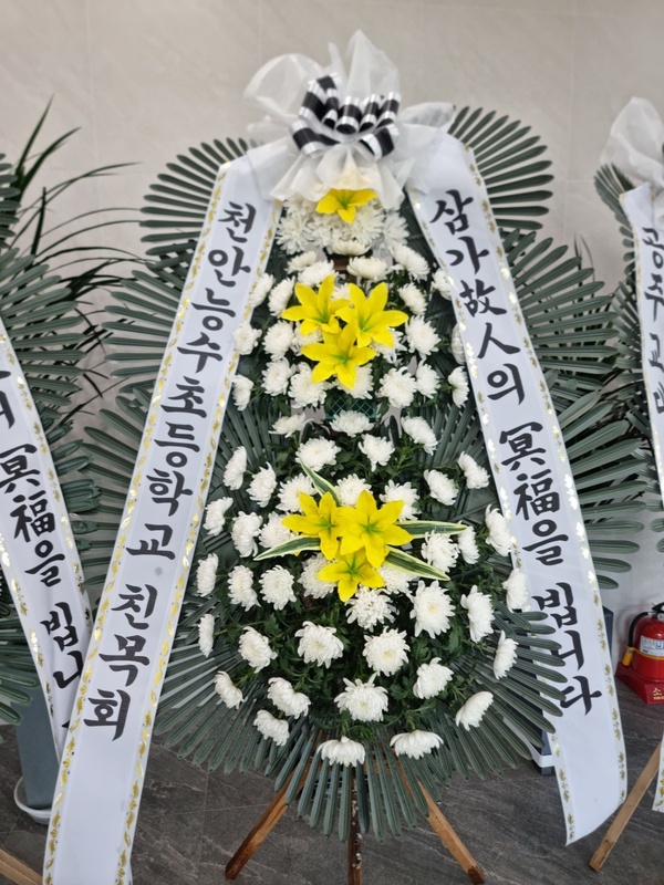 업로드 이미지