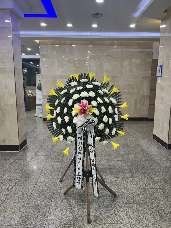업로드 이미지