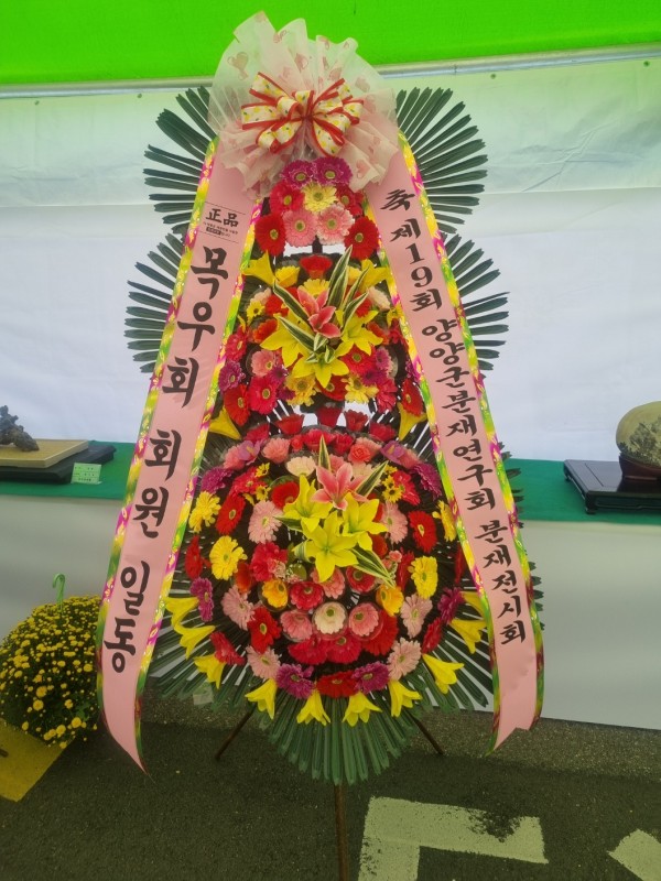 업로드 이미지