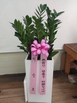 배송사진