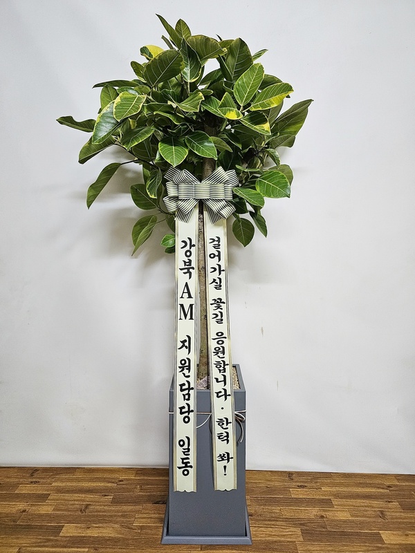 업로드 이미지
