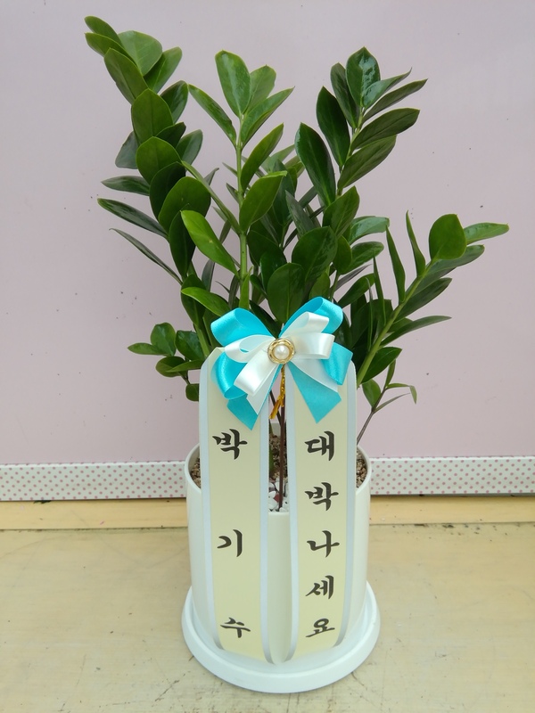 업로드 이미지