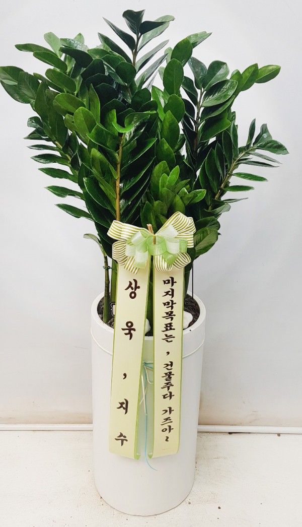 업로드 이미지