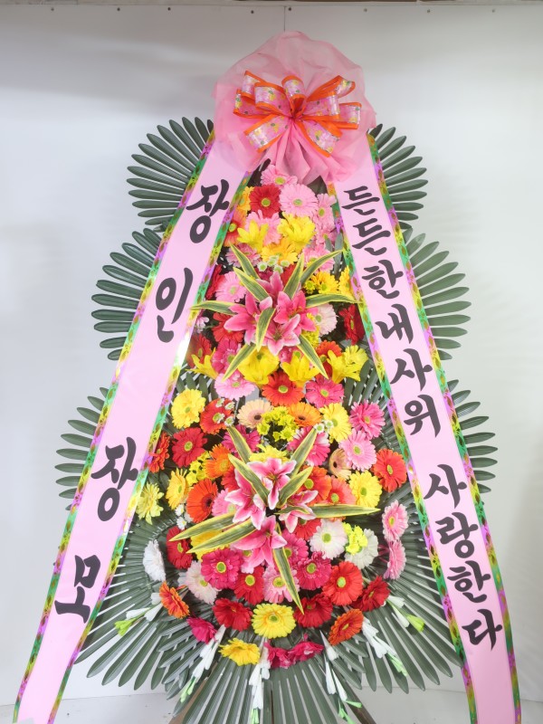 업로드 이미지