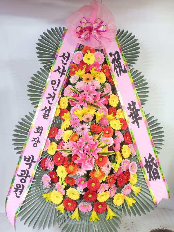 업로드 이미지