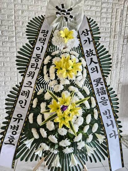 업로드 이미지