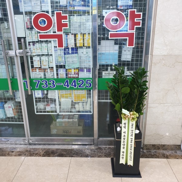 업로드 이미지