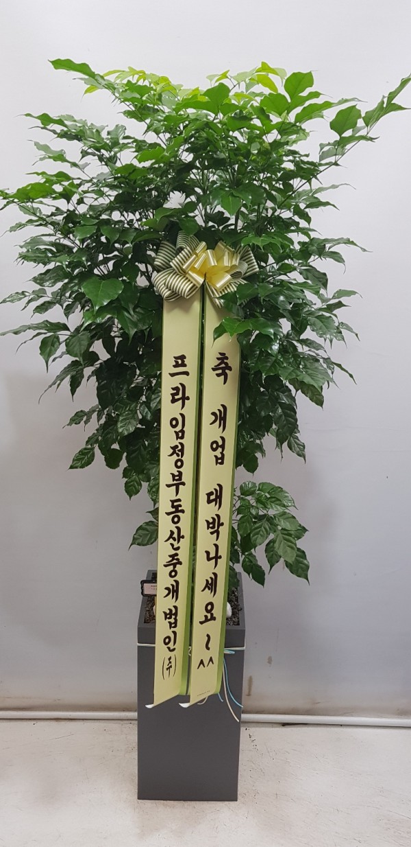업로드 이미지