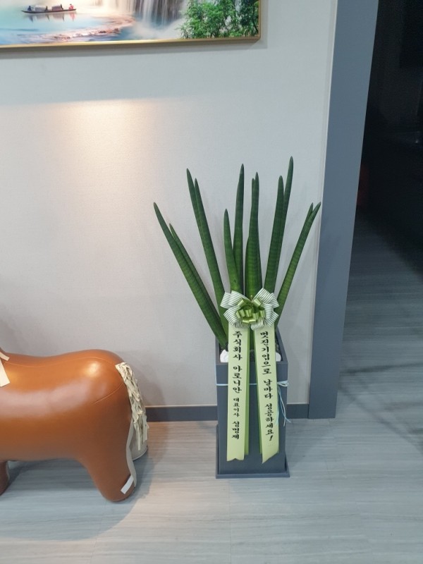 업로드 이미지