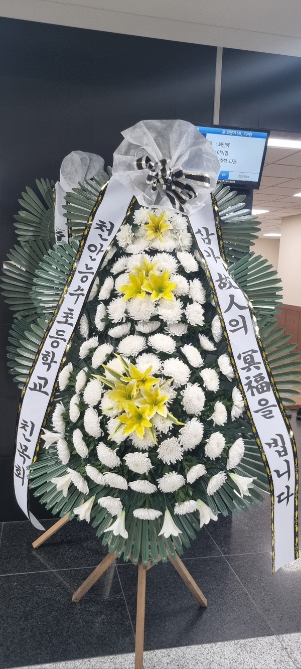 업로드 이미지