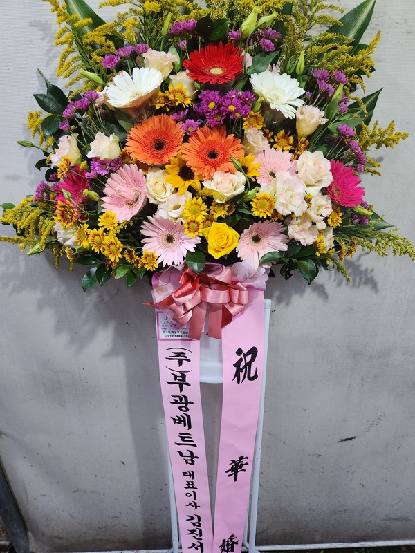 업로드 이미지