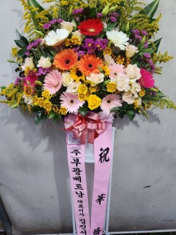 배송사진