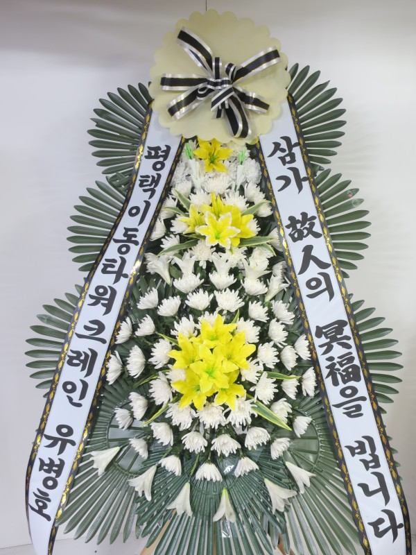 업로드 이미지