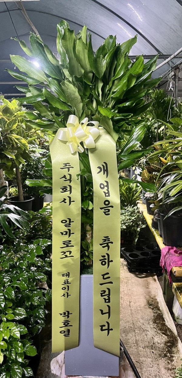 업로드 이미지