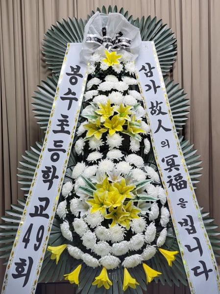 업로드 이미지