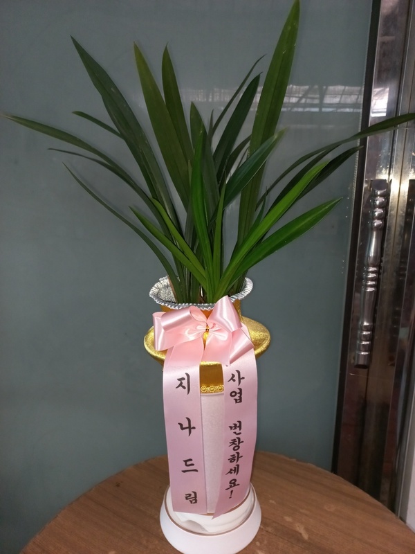 업로드 이미지