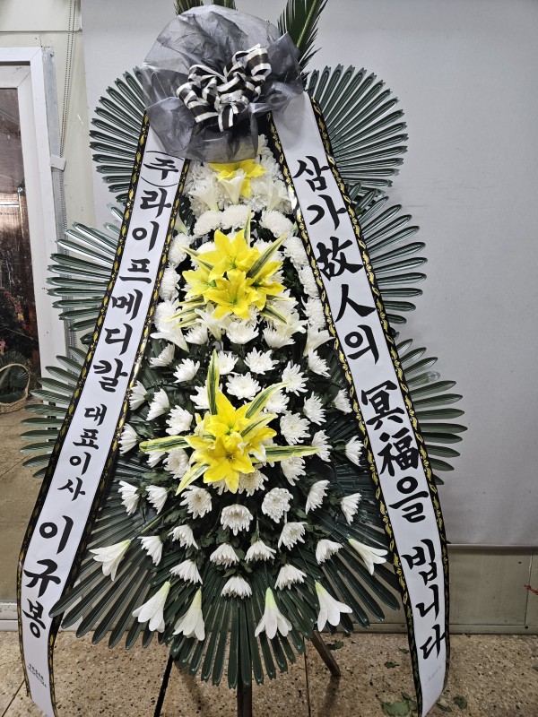 업로드 이미지