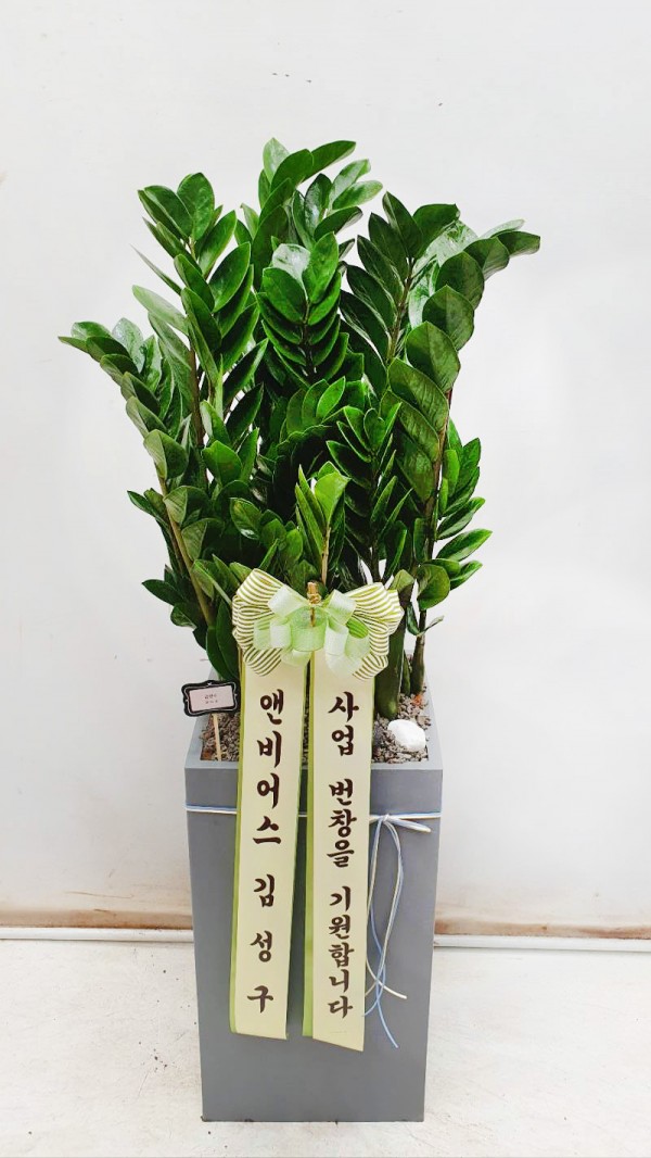 업로드 이미지