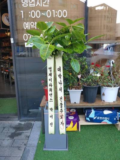 업로드 이미지