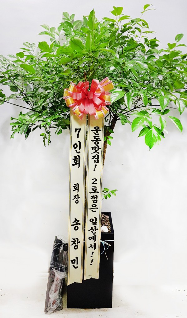 업로드 이미지