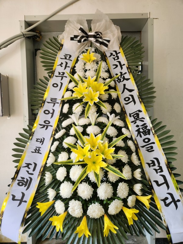 업로드 이미지