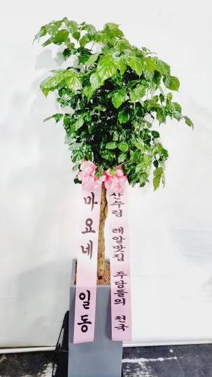 업로드 이미지